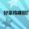 好萊塢裸照門（關于好萊塢裸照門的介紹）