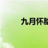 九月懷胎（關于九月懷胎的介紹）