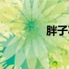 胖子減肥視頻（胖子減肥）