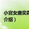 小宮女唐奕霖采訪（關于小宮女唐奕霖采訪的介紹）