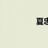 夏忠（關于夏忠的介紹）