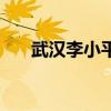 武漢李小平（關于武漢李小平的介紹）