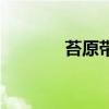 苔原帶（關于苔原帶的介紹）