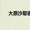 大原沙耶香（關于大原沙耶香的介紹）