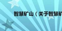 智慧礦山(關于智慧礦山的介紹)