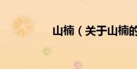 山楠(關于山楠的介紹)