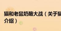 貓和老鼠奶酪大戰(關于貓和老鼠奶酪大戰的介紹)