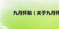 九月懷胎(關于九月懷胎的介紹)