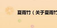 夏雨竹(關于夏雨竹的介紹)