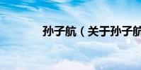 孫子航(關于孫子航的介紹)