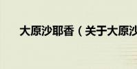 大原沙耶香(關于大原沙耶香的介紹)