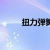 扭力彈簧（關于扭力彈簧的介紹）