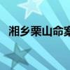 湘鄉栗山命案（關于湘鄉栗山命案的介紹）