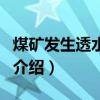 煤礦發生透水事故（關于煤礦發生透水事故的介紹）