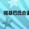 錫基巴氏合金（關于錫基巴氏合金的介紹）