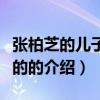 張柏芝的兒子是誰的（關于張柏芝的兒子是誰的的介紹）