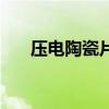 壓電陶瓷片（關于壓電陶瓷片的介紹）