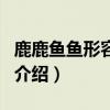 鹿鹿魚魚形容什么（關于鹿鹿魚魚形容什么的介紹）