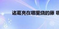 諸葛亮在哪里燒的藤 哪里來的兵?