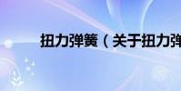 扭力彈簧(關于扭力彈簧的介紹)