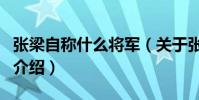 張梁自稱什么將軍(關于張梁自稱什么將軍的介紹)