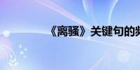 《離騷》關鍵句的頻繁考證