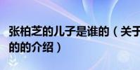 張柏芝的兒子是誰的(關于張柏芝的兒子是誰的的介紹)
