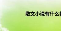 散文小說有什么特點?