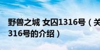 野獸之城 女囚1316號(關于野獸之城 女囚1316號的介紹)