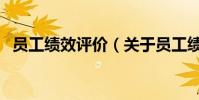 員工績效評價(關于員工績效評價的介紹)