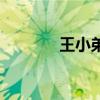 王小弟（關于王小弟的介紹）