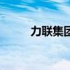 力聯集團（關于力聯集團的介紹）