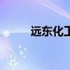 遠東化工（關于遠東化工的介紹）