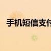 手機短信支付（關于手機短信支付的介紹）
