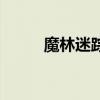 魔林迷蹤（關于魔林迷蹤的介紹）