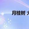 月桂樹 大雁塔的標題是什么意思？