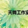 天舞工作室（關于天舞工作室的介紹）