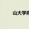 山大學府（關于山大學府的介紹）