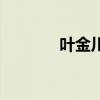 葉金川（關于葉金川的介紹）