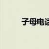 子母電話（關于子母電話的介紹）