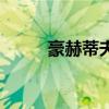 豪赫蒂夫（關于豪赫蒂夫的介紹）