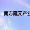 南方隆元產業（關于南方隆元產業的介紹）
