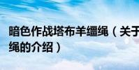 暗色作戰塔布羊韁繩(關于暗色作戰塔布羊韁繩的介紹)