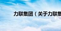 力聯集團(關于力聯集團的介紹)