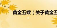 黃金五嫂(關于黃金五嫂的介紹)