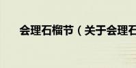 會理石榴節(關于會理石榴節的介紹)
