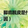 腳底脫皮是什么原因造成（腳底脫皮是什么原因）