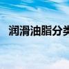潤滑油脂分類（關于潤滑油脂分類的介紹）