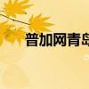 普加網青島（關于普加網青島的介紹）