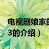 電視劇娘家的故事3（關于電視劇娘家的故事3的介紹）